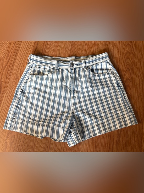 American Eagle Outfitters Pants - American Eagle Outfitters Blue and White Striped Denim Shorts